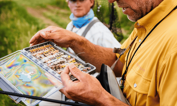 9 Fly Fishing Flies for Trout