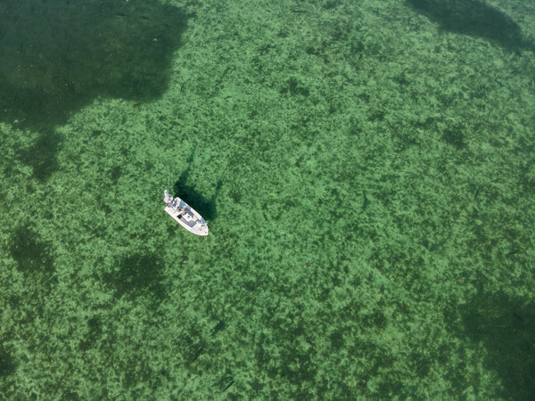 Fly Fishing in Florida