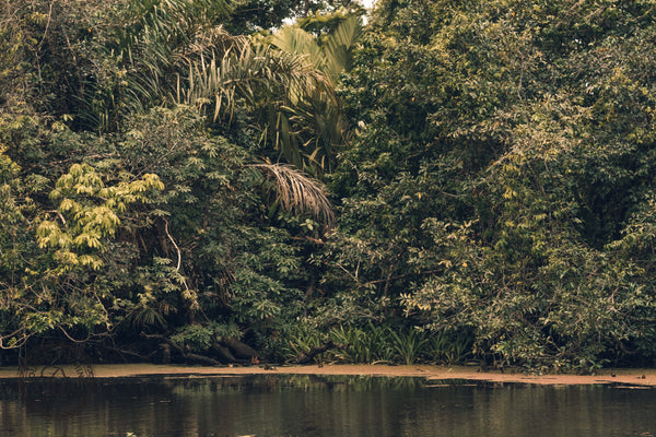Fly Fishing in Costa Rica