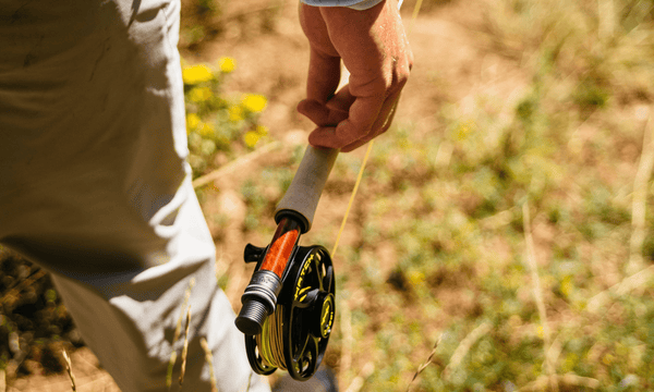 Fly Fishing Gear for Beginners