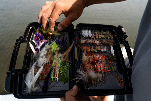 Best Redfish Bait and Tackle: Live Bait, Lures, and Gear That Actually Work
