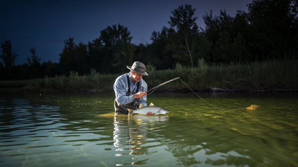Is Fishing on a Full Moon Good? Best Moon Phases for Catching More Fish