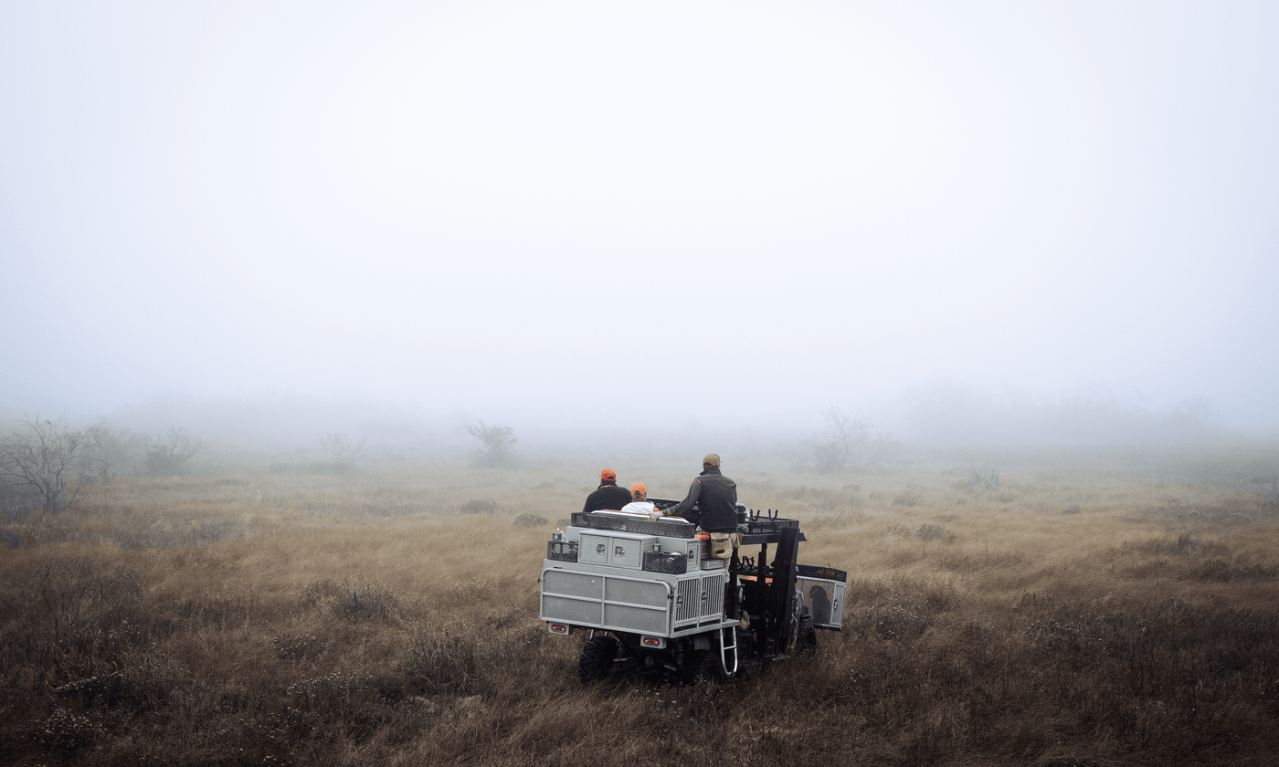 Top 10 Upland Hunting Locations in the US (2025)