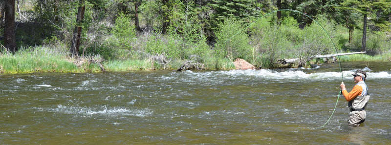 fishing in Colorado Taylor River